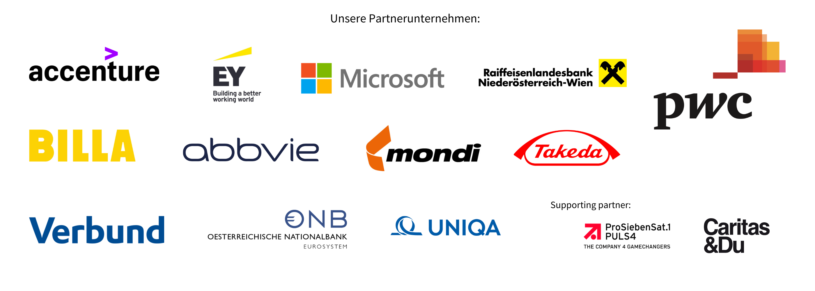 Unsere Partnerunternehmen ABBVIE, Accenture, Billa, EY, Microsoft, Mondi, OENB, PWC, RLB, Takeda, Uniqa, Verbund, RLB, Prosieben Sat 1 Puls 4, Caritas & Du